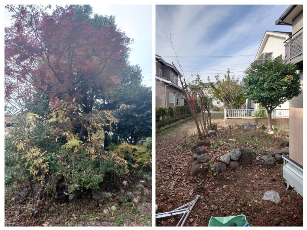 20260123_143429-COLLAGE