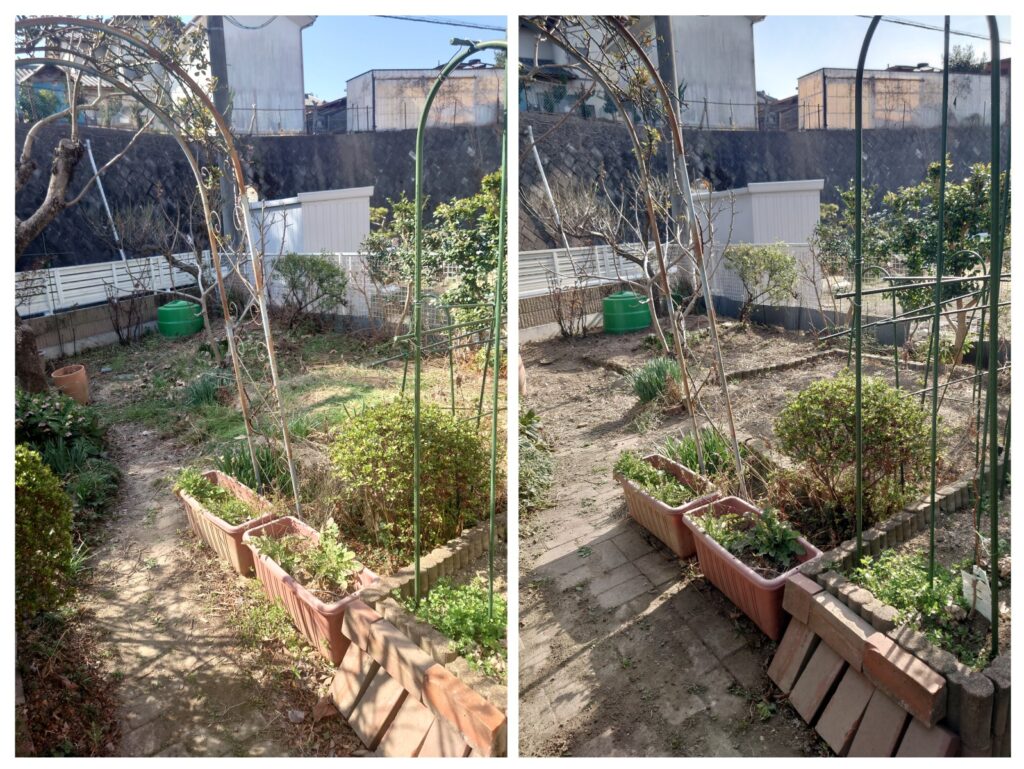 20260324_155457-COLLAGE